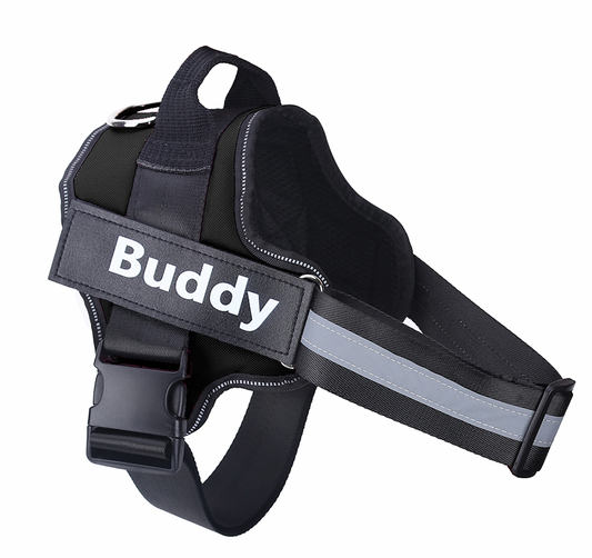 ワンちゃん用ハーネス 名前入りサービス付