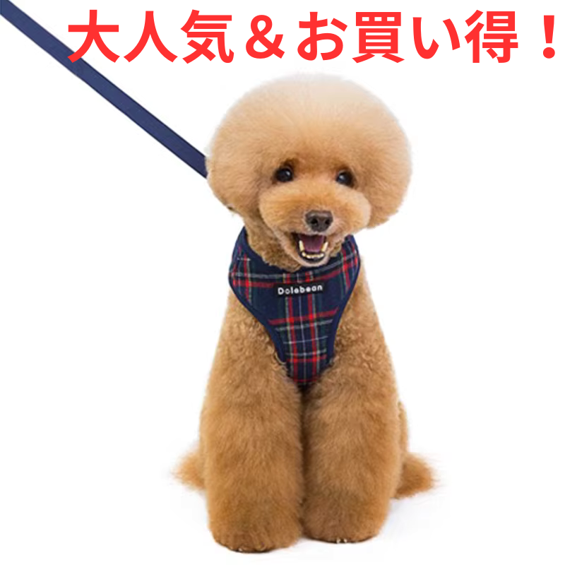 届いてすぐお散歩！リード付き・3種の彩りチェック柄ハーネスセット 〜かわいさも機能もこれ一つで〜