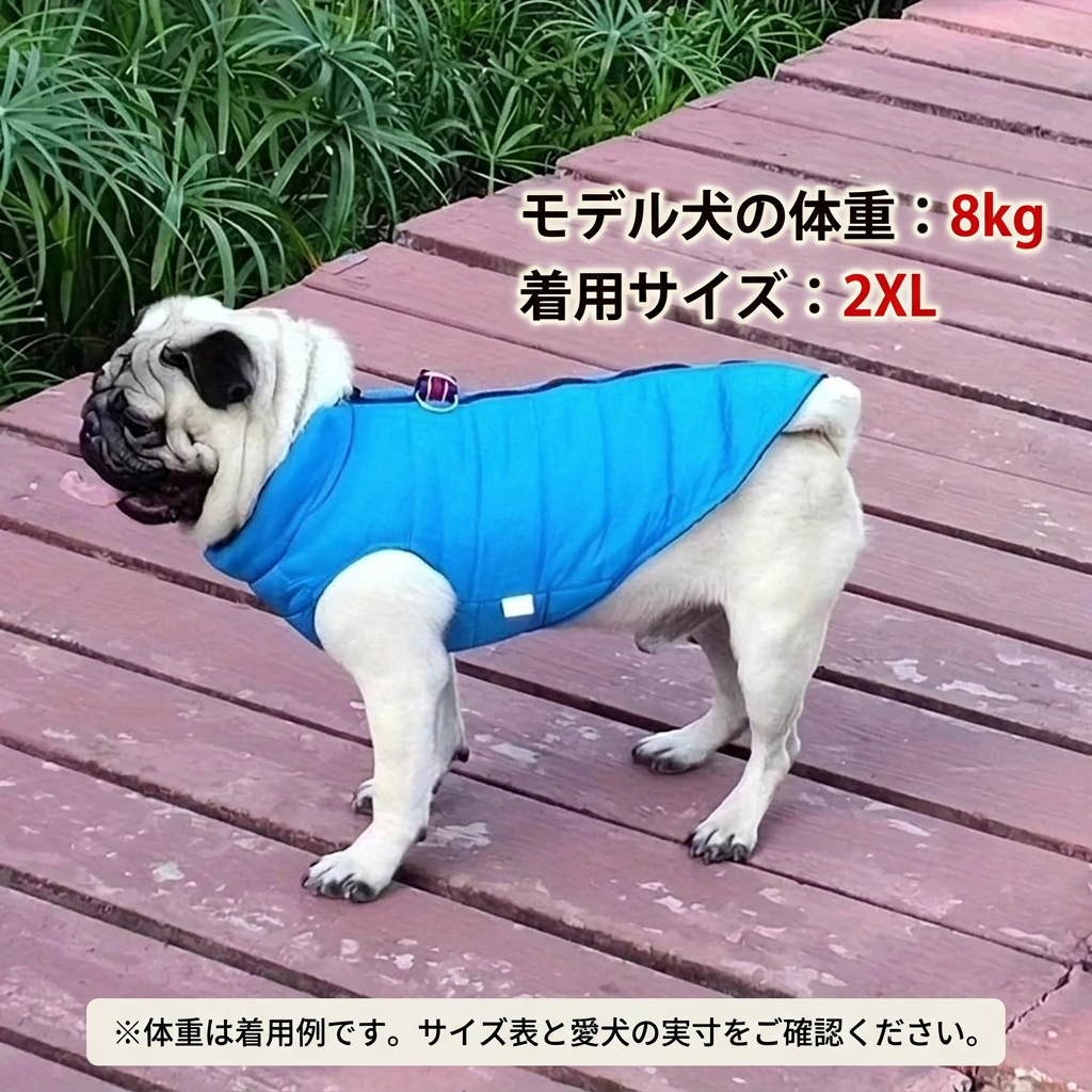 体重と着用サイズを日本語にした商品着用画像